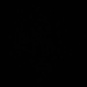 Meet your Posher, Diy